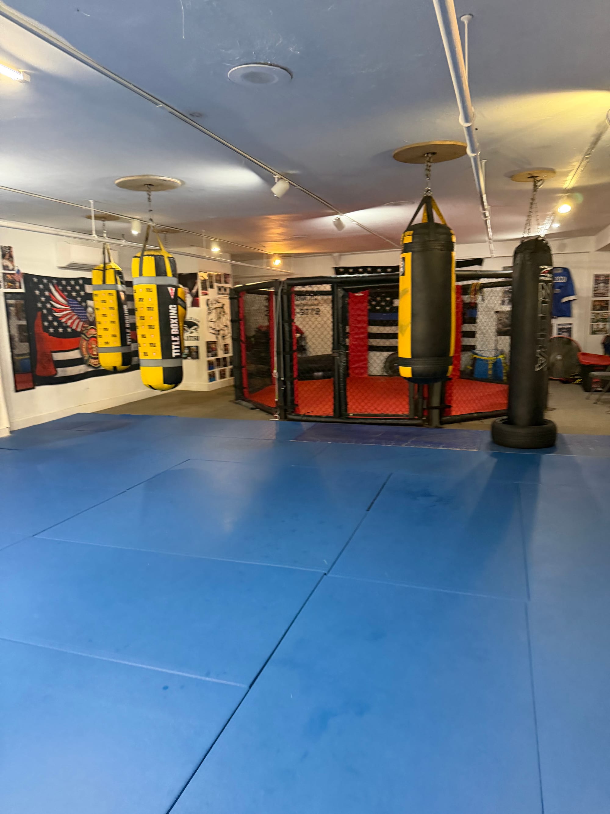 La fila de sacos pesados a lo largo de la pared en Ironhand Boxing, Staten Island